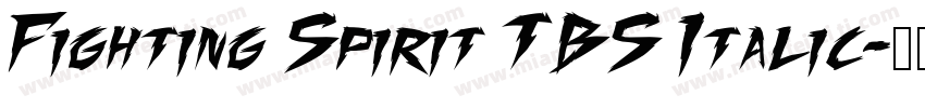 Fighting Spirit TBS Italic字体转换